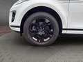 Land Rover Range Rover Evoque P300e S (21MY) Weiß - thumbnail 8