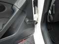 Volkswagen Golf Comfortline 1.4,TEMPO,KAM,NAVI,SHZ,BT,MFL Білий - thumbnail 27