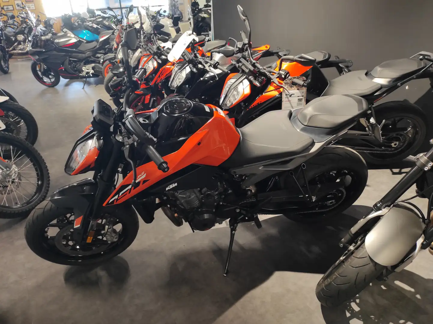 KTM 790 Duke - 2