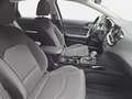 Kia Ceed / cee'd CEED 1.5 T-GDI DCT7 ULTIMATE EDITION MJ25 Grau - thumbnail 17