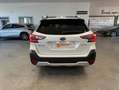 Subaru OUTBACK 2.5i Executive Plus CVT Blanco - thumbnail 7