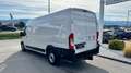 Fiat Ducato MAXI 35 L4H2 140 Weiß - thumbnail 9
