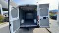 Fiat Ducato MAXI 35 L4H2 140 Weiß - thumbnail 10