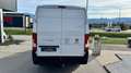 Fiat Ducato MAXI 35 L4H2 140 Weiß - thumbnail 8