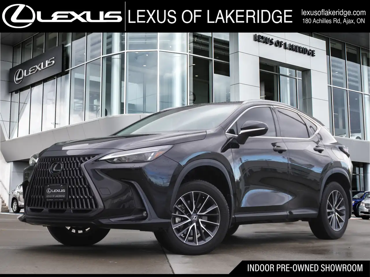 2024 Lexus NX photo 2024 Lexus NX