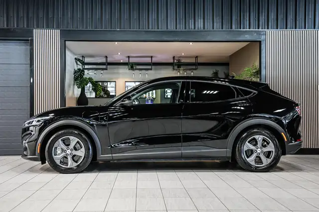 Ford Mustang Mach-E view 7
