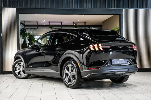 Ford Mustang Mach-E view 5