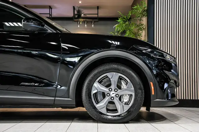 Ford Mustang Mach-E view 15