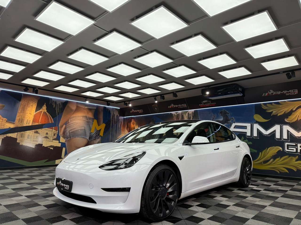 Tesla Model 3 Model 3 Long Range AWD Performance (522)