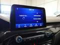 Ford Kuga ST-Line X 2.5 Duratec FHEV Auto Rojo - thumbnail 11