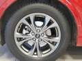 Ford Kuga ST-Line X 2.5 Duratec FHEV Auto Rojo - thumbnail 6