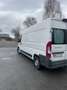 Fiat Ducato Weiß - thumbnail 6