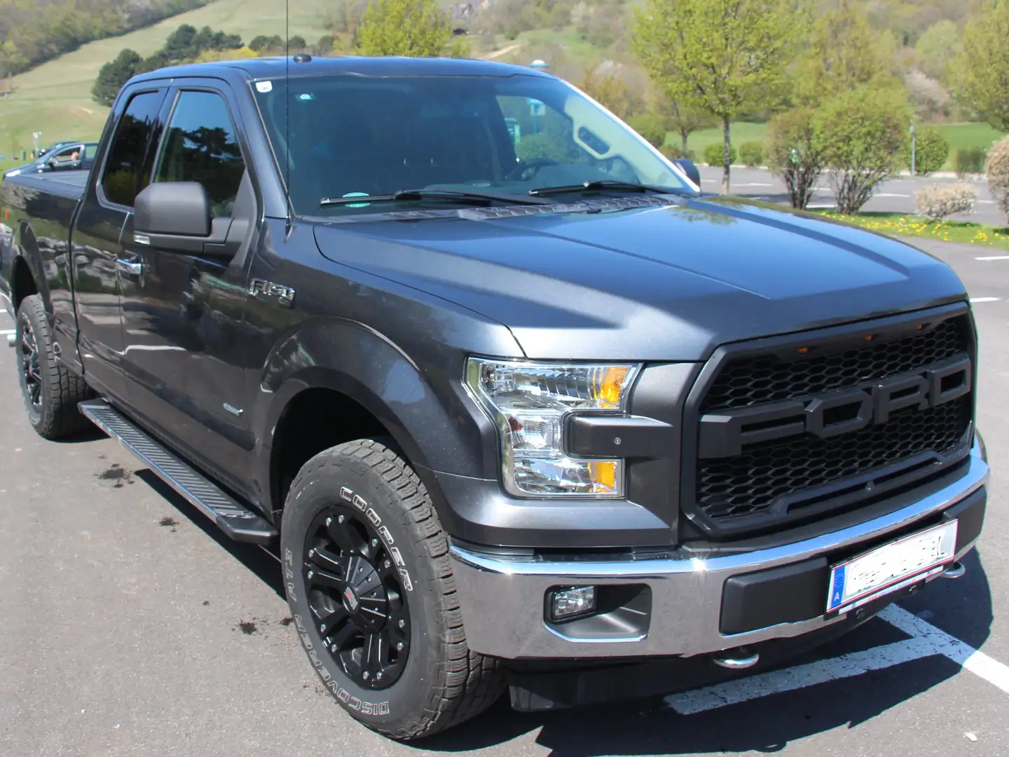 Ford F 150 Grau - 1