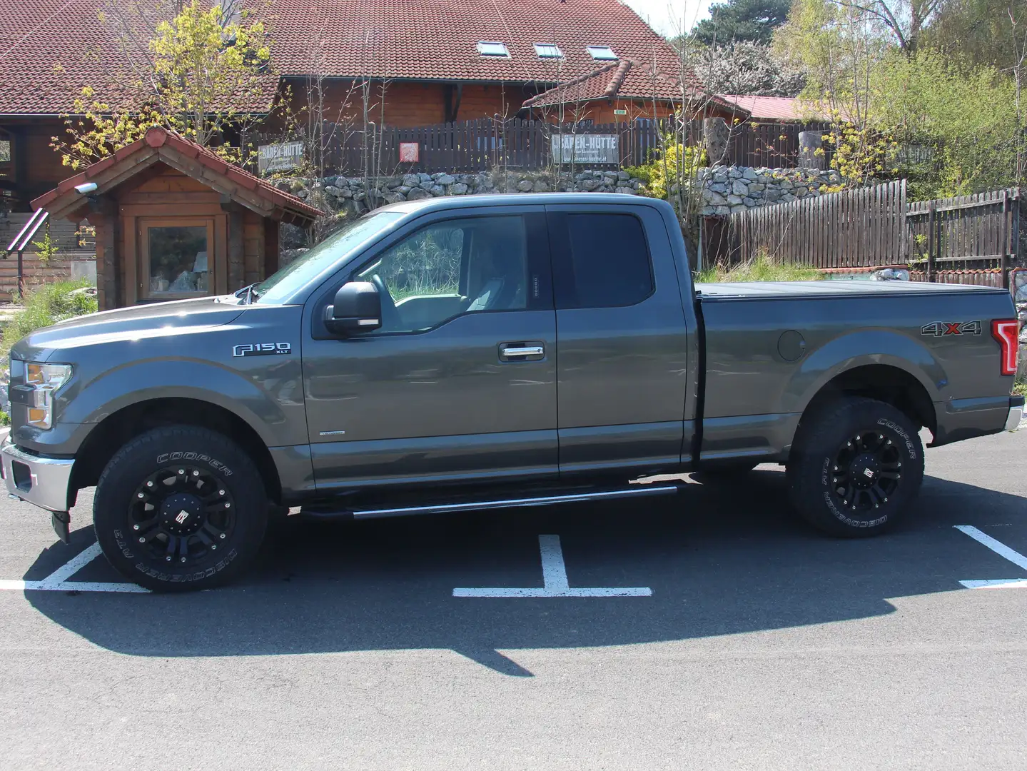 Ford F 150 Grau - 2
