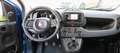 Fiat Panda PANDA 1.0 FIREFLY HYBRID   NEO PATENTATI!! Blu/Azzurro - thumbnail 13