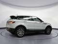 Land Rover Range Rover Evoque 2.0TD4 Pure 4WD Aut. 150 Blanc - thumbnail 21