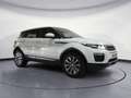 Land Rover Range Rover Evoque 2.0TD4 Pure 4WD Aut. 150 Blanc - thumbnail 14