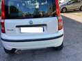 Fiat Panda 1.2 4x4 Van Active Trekking 2 p.ti Blanco - thumbnail 3
