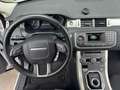 Land Rover Range Rover Evoque Range Rover Evoque 5p 2.2 td4 Pure 150cv auto 9m Bianco - thumbnail 11