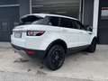 Land Rover Range Rover Evoque Range Rover Evoque 5p 2.2 td4 Pure 150cv auto 9m Bianco - thumbnail 5