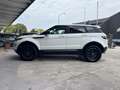 Land Rover Range Rover Evoque Range Rover Evoque 5p 2.2 td4 Pure 150cv auto 9m Bianco - thumbnail 2