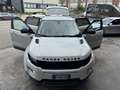 Land Rover Range Rover Evoque Range Rover Evoque 5p 2.2 td4 Pure 150cv auto 9m Bianco - thumbnail 7