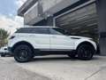 Land Rover Range Rover Evoque Range Rover Evoque 5p 2.2 td4 Pure 150cv auto 9m Bianco - thumbnail 6