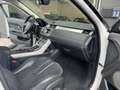Land Rover Range Rover Evoque Range Rover Evoque 5p 2.2 td4 Pure 150cv auto 9m Bianco - thumbnail 8