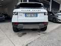 Land Rover Range Rover Evoque Range Rover Evoque 5p 2.2 td4 Pure 150cv auto 9m Bianco - thumbnail 4