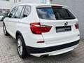 BMW X3 xDrive 20 i Aut.Leder NAVI XENON Weiß - thumbnail 4
