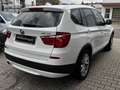BMW X3 xDrive 20 i Aut.Leder NAVI XENON Weiß - thumbnail 5