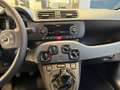 Fiat Panda 1.0 FireFly S&S Hybrid City Life PREZZO REALE Nero - thumbnail 14