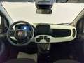 Fiat Panda Panda Cross 1.0 FireFly S&S Hybrid Nero - thumbnail 5