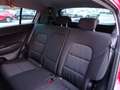 Kia Sportage Sportage 1.6 CRDI 115 CV 2WD Business Class Rouge - thumbnail 11
