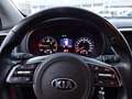 Kia Sportage Sportage 1.6 CRDI 115 CV 2WD Business Class Rouge - thumbnail 14