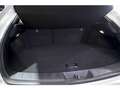 Lexus UX 250h Executive Navigation 2WD Blanc - thumbnail 13