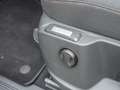 Volkswagen Caddy 2.0 TDI DSG PanAmericana *AHK*LED*Standhzg*Pano... Blau - thumbnail 17