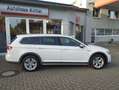 Volkswagen Passat Variant Alltrack 4Motion" ALLRADler- ZUM FAIREN-PREIS" Weiß - thumbnail 2