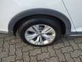 Volkswagen Passat Variant Alltrack 4Motion" ALLRADler- ZUM FAIREN-PREIS" White - thumbnail 25