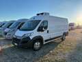 Citroen Jumper 35 BlueHDi 165 S&S L4H2 FRIGO Bianco - thumbnail 2
