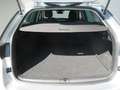 Skoda Octavia Combi 1,4 iV Style DSG *HUD *Navi *Keyless *ACC... Plateado - thumbnail 26