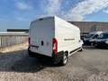 Fiat Ducato 35 LH2 2.3 MJET  - 140 CV FURGONE PASSO LUNGO Alb - thumbnail 5