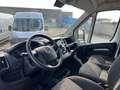 Fiat Ducato 35 LH2 2.3 MJET  - 140 CV FURGONE PASSO LUNGO Alb - thumbnail 11