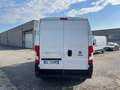 Fiat Ducato 35 LH2 2.3 MJET  - 140 CV FURGONE PASSO LUNGO Alb - thumbnail 6