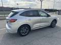 Ford Kuga St-Line X 1.5 EcoBoost (benzina) 150CV S&S Manuale Gris - thumbnail 3