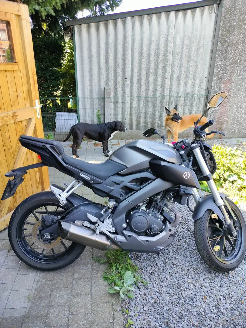 Yamaha MT-125 Gris - 2