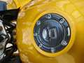 Honda CBF 1000 gold 18.300 km Oro - thumbnail 9