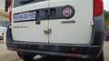 Fiat Doblo Doblo 1.3 mjt 16v MAXI FURGONE - thumbnail 6