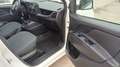 Fiat Doblo Doblo 1.3 mjt 16v MAXI FURGONE - thumbnail 20