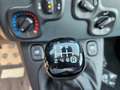 Fiat Panda Panda III 1.0 firefly hybrid s Blu/Azzurro - thumbnail 10